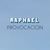 About Provocación Song
