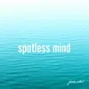 About Spotless Mind Song