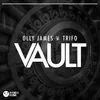 About Vault Song