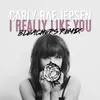 About I Really Like You-Bleachers Remix Song