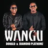 About Wangu Song