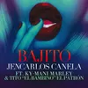 About Bajito-Remix Song