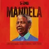 About Mandela Song