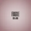 About Fragile Song