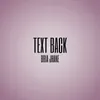 About Text Back Song