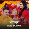 About New Bhojpuri Songs