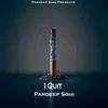About I Quit Song