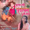 About Bula Lo Vrindavan Me Radhe Song