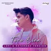 About Tere Bina - LOFI & Extended Version Song