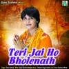 About Teri Jai Ho Bholenath Song