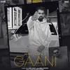 About Gaani Song