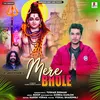 About Mere Bhole Song