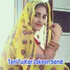 About Teri Tu Kar Loksn Sand Song