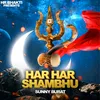 About Har Har Shambhu Song