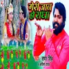About Meri Jaan Ho Radha Song