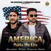 About America Pakka Ho Liya (feat. Anukul Choudhary) Song