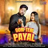 About Gori Teri Payal Song