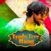 About Lyadu Tere Rang (feat. Mannu Pahari, Avinash Selothi, Sisodiya) Song