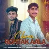 About Chora Rohtak Aala Song