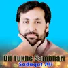 Dil Tukhe Sambhari
