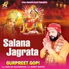 About Salana Jagrata Song