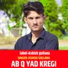 About Ab Q Yad Kregi Song