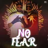 About No Fear Song