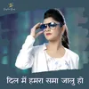 About Dil Me Hamara Sama Jalu Ho Song