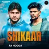 About Shikaar Song