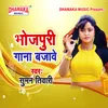 About Bhojpuri Gana Bajawe Song