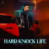 About Hard Knock Life Song