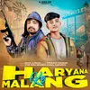 About Haryana Ke Malang Song