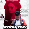 About Rooh Teri Song