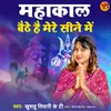 About Mahakal Bethe Hai Sine Me Song