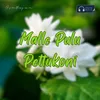 About Malle Pulu Pettukoni Song