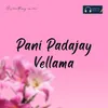 About Pani Padajay Vellama Song