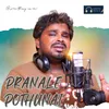 About Pranale Pothunai Amma Song