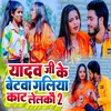 About Yadav Ji Ke Betwa Galiya Kat Lelko 2 Song