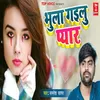 About Bhula Gailu Pyar Song