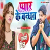 About Pyar Ke Bandhan Song