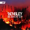 About Burn It Up Song