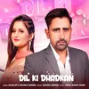 About Dil Ki Dhadkan Song