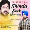 About Shinda Saab Song