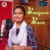 About Bangaru Bava Song