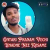 About Ontari Pranam Vechi Unadhe Nee Kosame Song