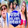 About Ghar Wali Tav Se Bahar Wali Bhav Se Song