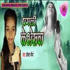 About Pagali Ke Bheshva Song