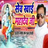 About Sev Khai Mahadev Ji Song