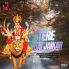 About Teri Jai Jaikar Song