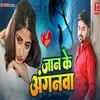 About Jaan Ke Anganwa Song